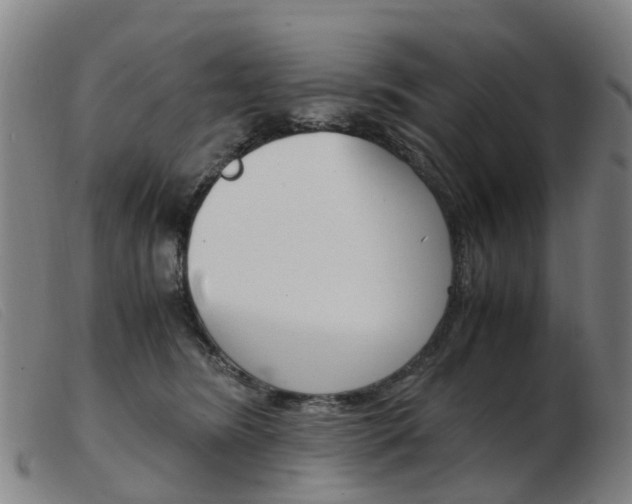 X0000103940420200809191152