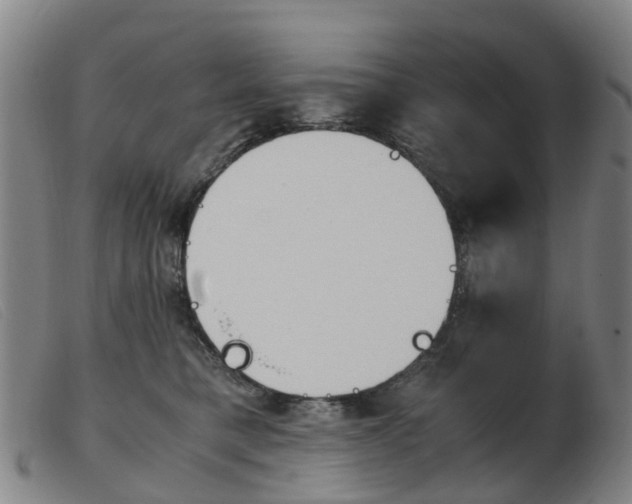 X0000103940421200809191152