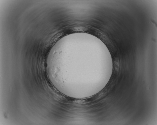 X0000103940422200809191152