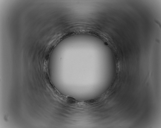 X0000103940423200809191152