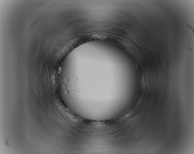 X0000103940424200809191152