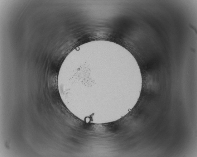 X0000103940425200809191152