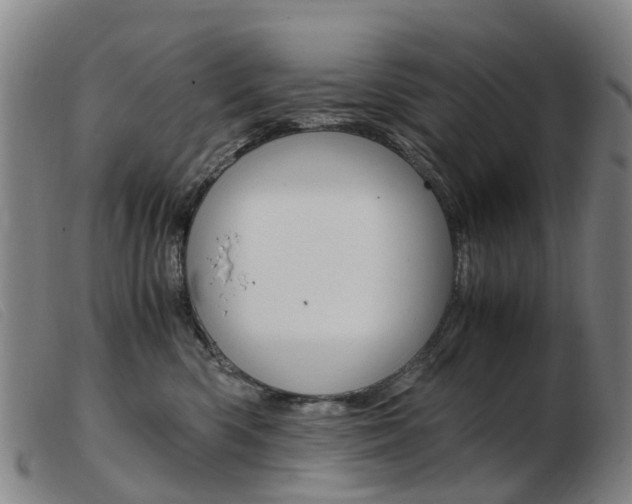 X0000103940426200809191152