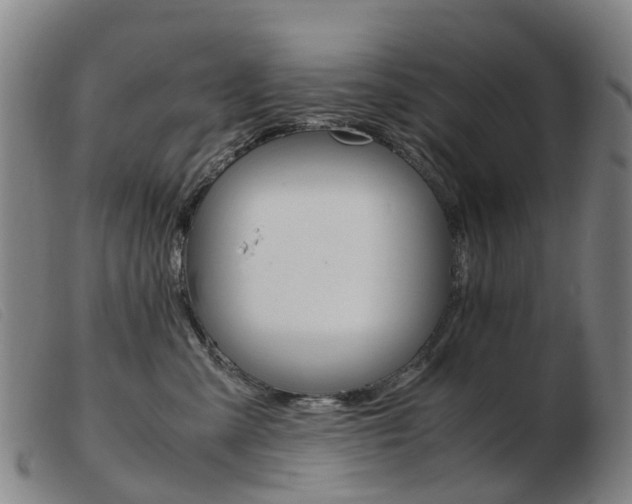 X0000103940427200809191152