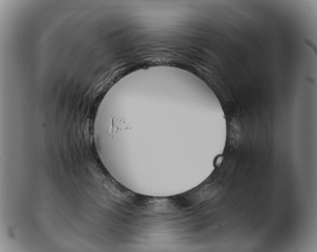 X0000103940428200809191152