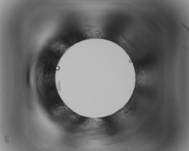 X0000103940429200809191152