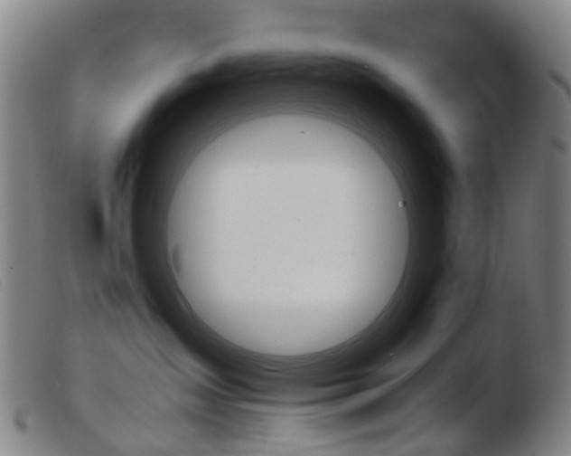 X0000103940431200809191152
