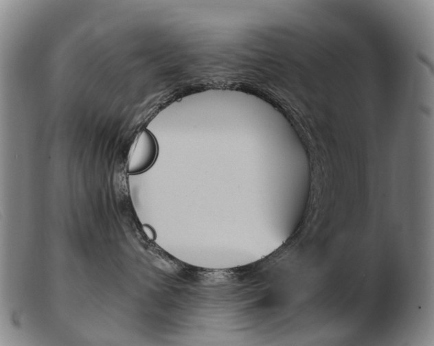 X0000103940432200809191152