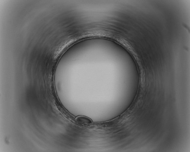 X0000103940434200809191151