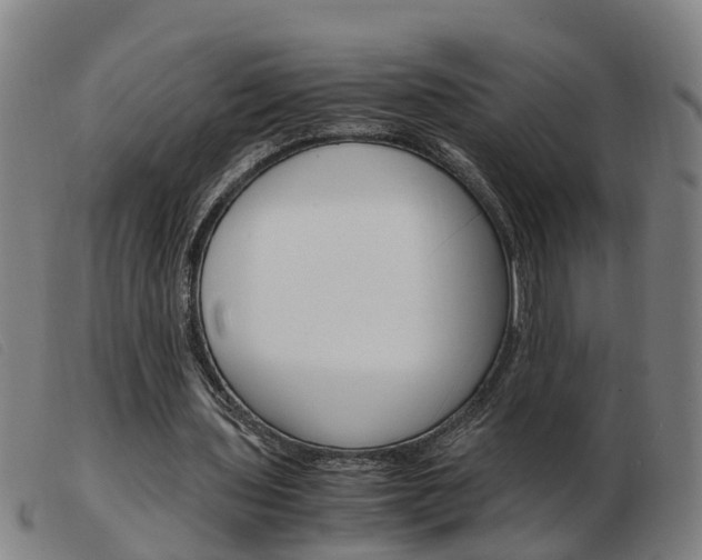 X0000103940435200809191151