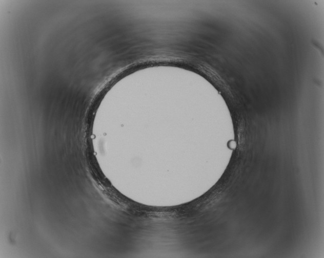 X0000103940436200809191151