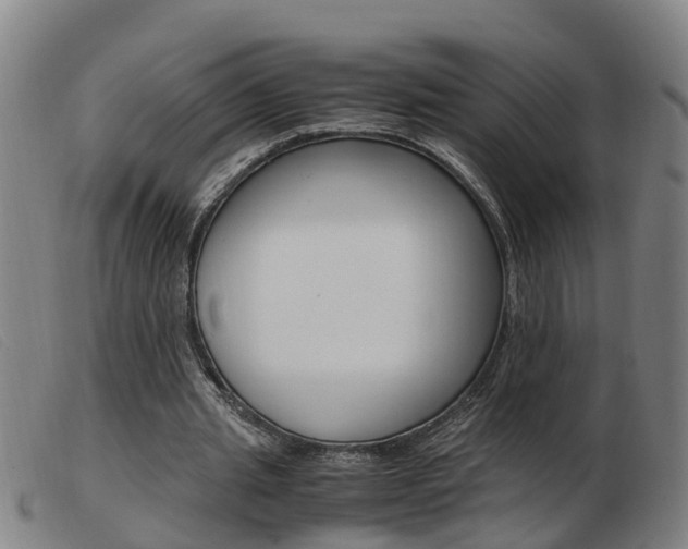 X0000103940437200809191151