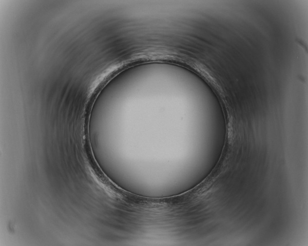X0000103940438200809191151