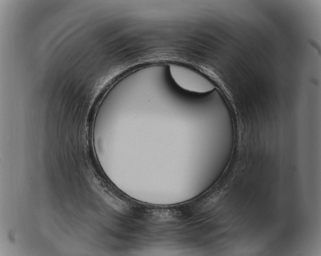 X0000103940439200809191151