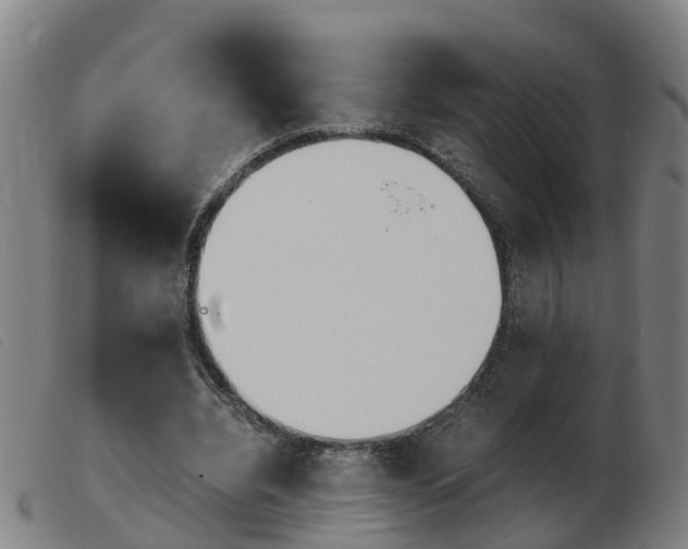 X0000103940440200809191151