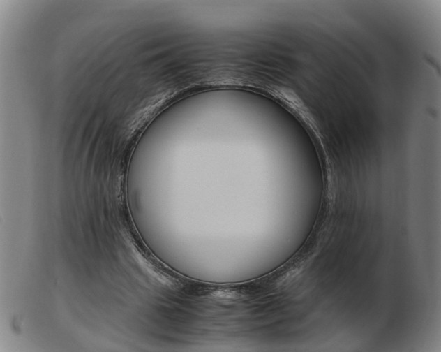 X0000103940441200809191151