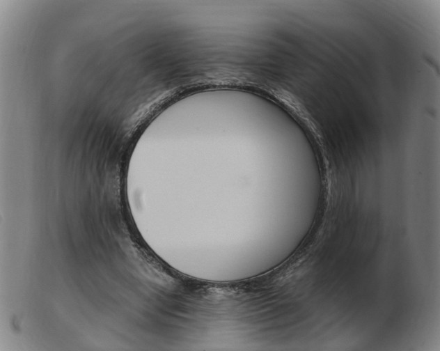 X0000103940442200809191151