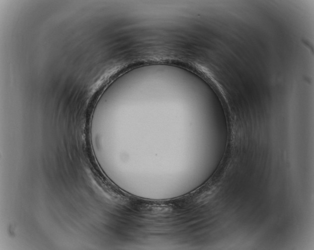 X0000103940443200809191151