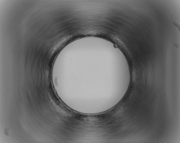 X0000103940444200809191151