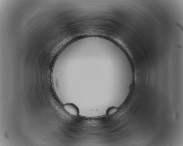 X0000103940445200809191151