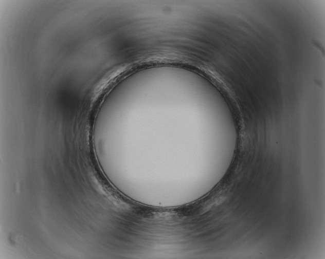 X0000103940446200809191151