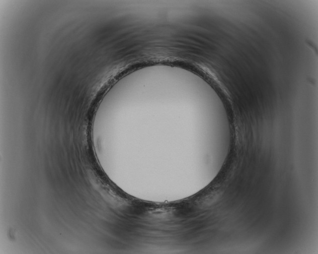 X0000103940447200809191151