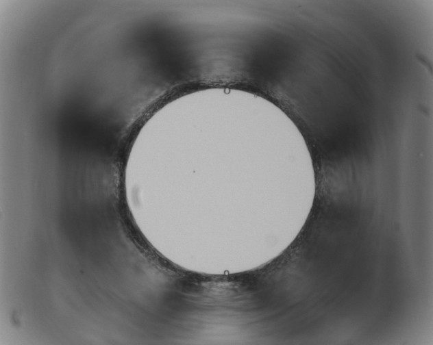 X0000103940448200809191151