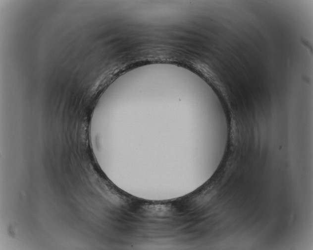 X0000103940449200809191151