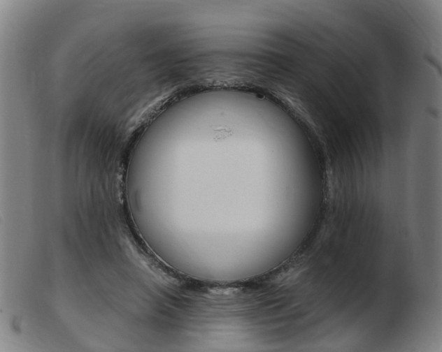 X0000103940450200809191151