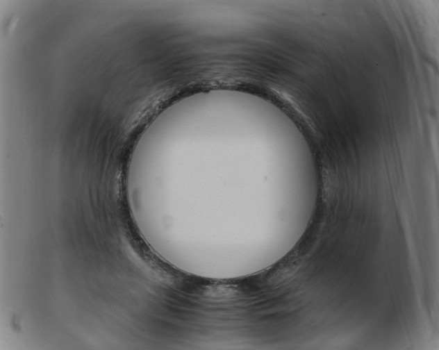 X0000103940451200809191151