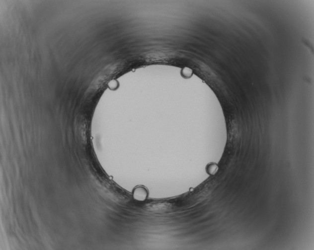X0000103940452200809191151
