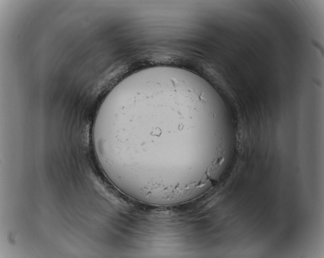 X0000103940454200809191151