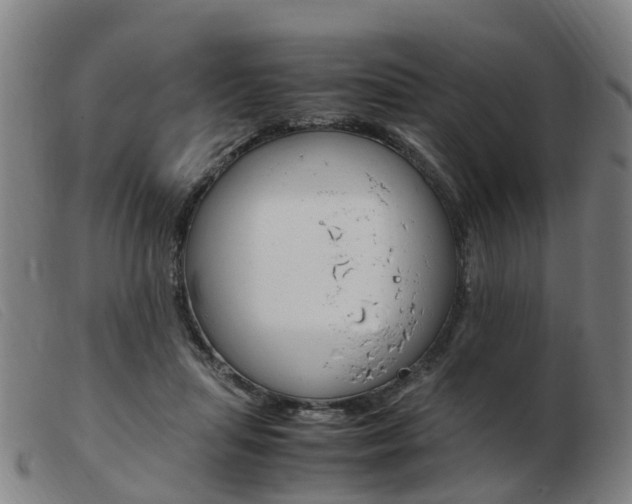 X0000103940455200809191151
