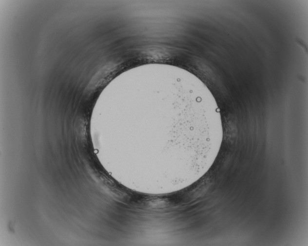 X0000103940456200809191151