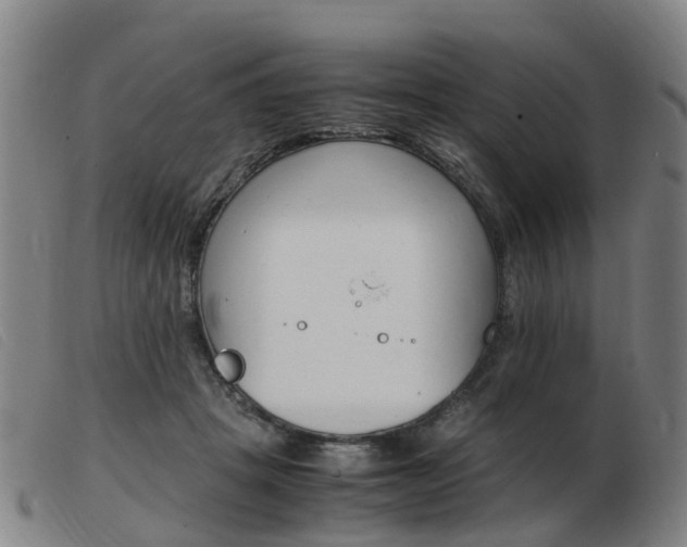 X0000103940457200809191151
