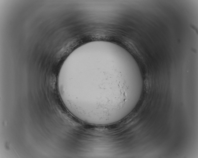 X0000103940458200809191151