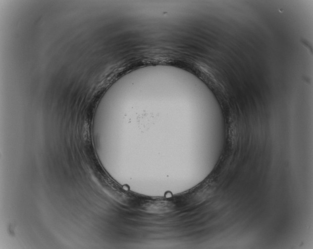 X0000103940459200809191151
