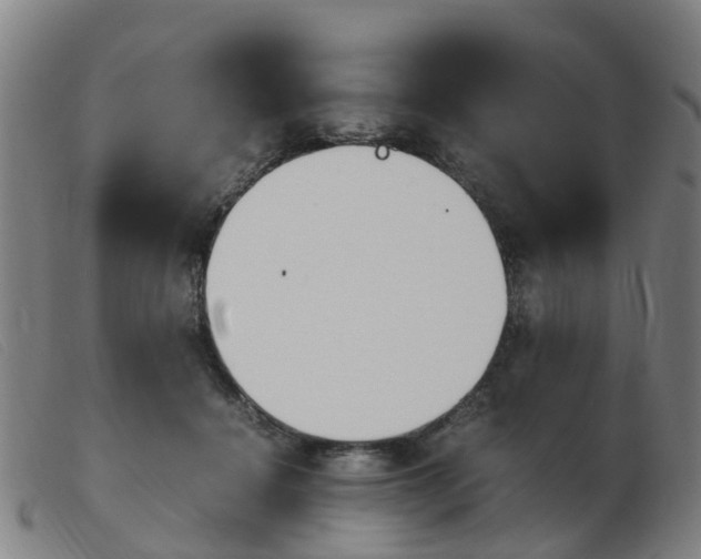 X0000103940460200809191151