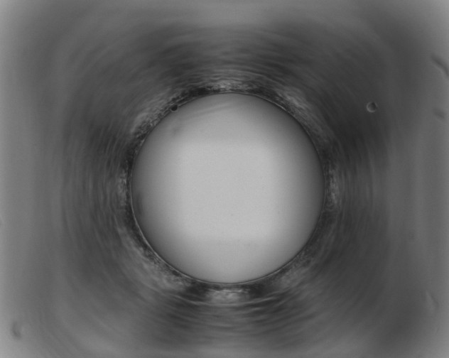 X0000103940461200809191151