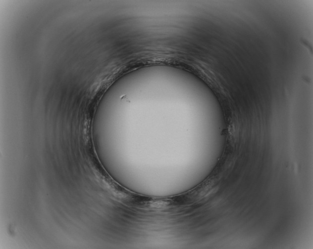 X0000103940462200809191151