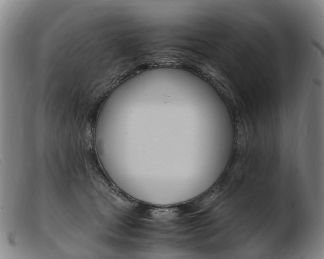 X0000103940465200809191151