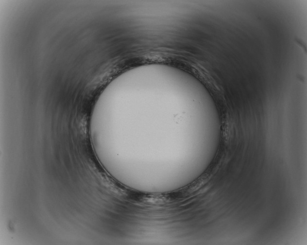 X0000103940466200809191151