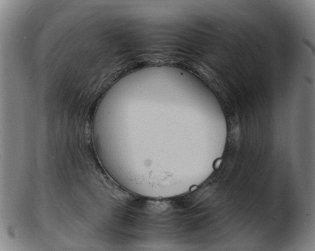 X0000103940469200809191151