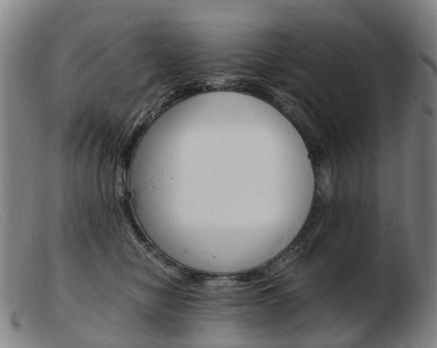X0000103940470200809191152