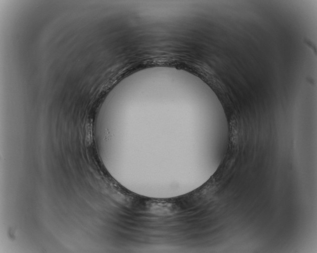 X0000103940471200809191152