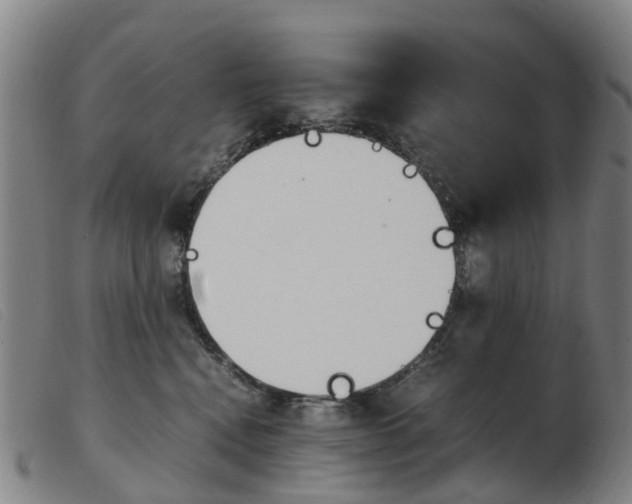 X0000103940472200809191152