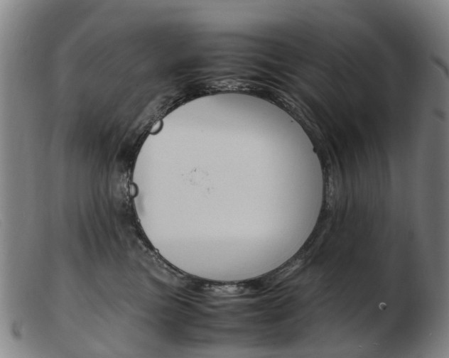 X0000103940473200809191152