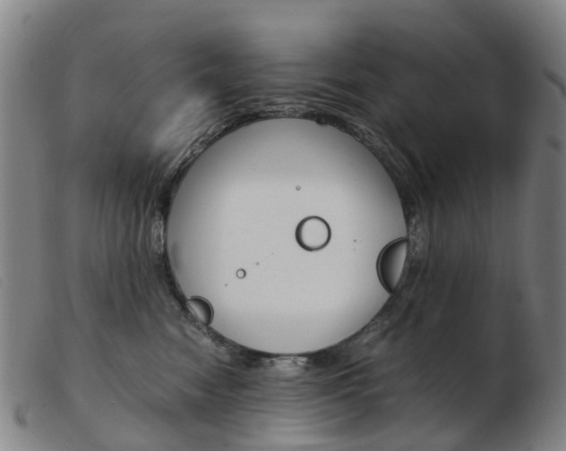 X0000103940474200809191152