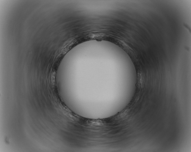 X0000103940475200809191152