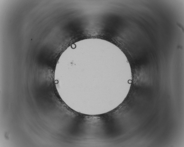 X0000103940476200809191152
